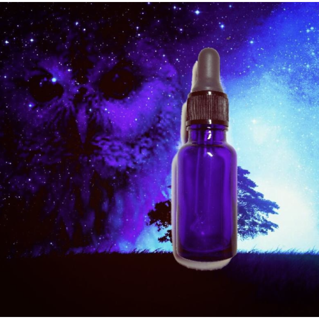 貓頭鷹羽毛筆魔法油 - 提升學習效率與知識運用 | 南瓜的魔法櫃子