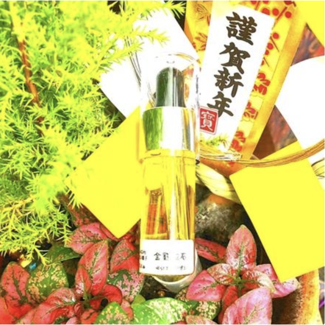 金錢磁石魔法油 - 增強財富吸引力與賺錢潛力 | 南瓜的魔法櫃子