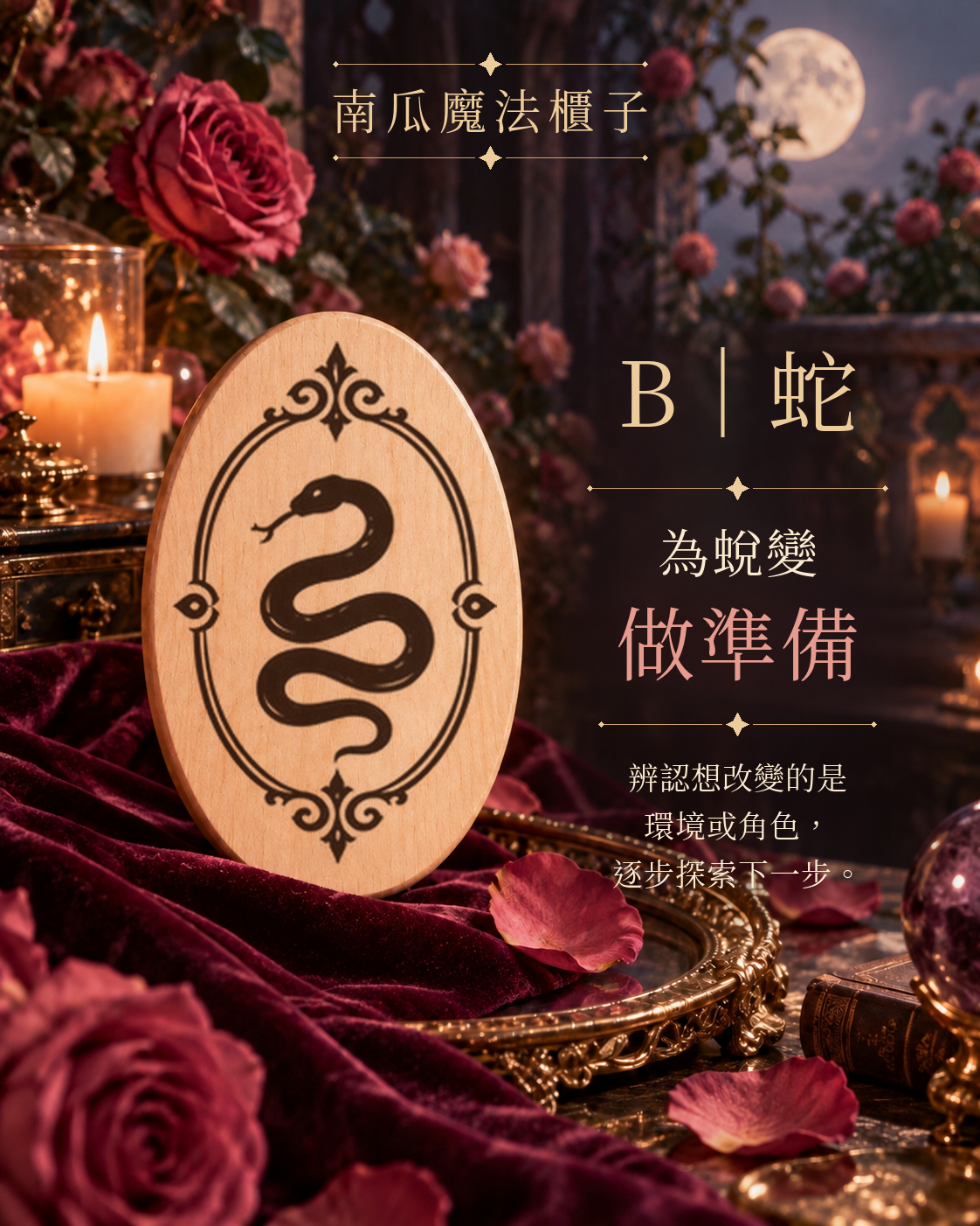 B 蛇：為蛻變做準備